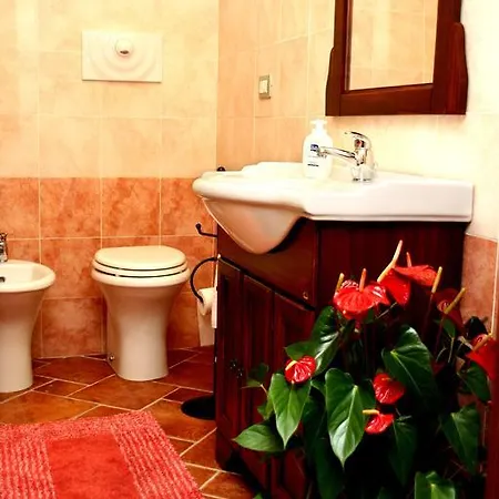 Appartement Jacaranda *